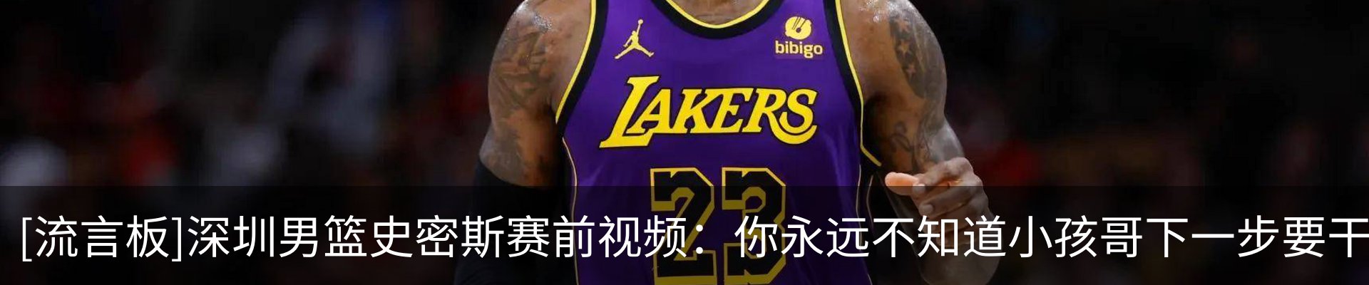 最新动态